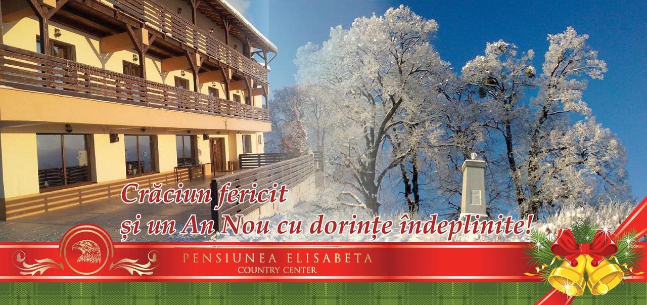 Pensiunea Elisabeta Merghindeal Buitenkant foto